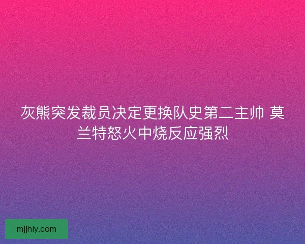 灰熊突发裁员决定更换队史第二主帅 莫兰特怒火中烧反应强烈