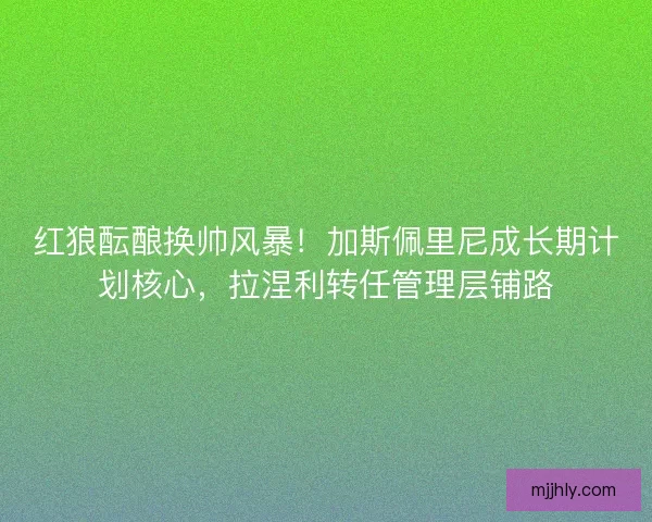 红狼酝酿换帅风暴！加斯佩里尼成长期计划核心，拉涅利转任管理层铺路