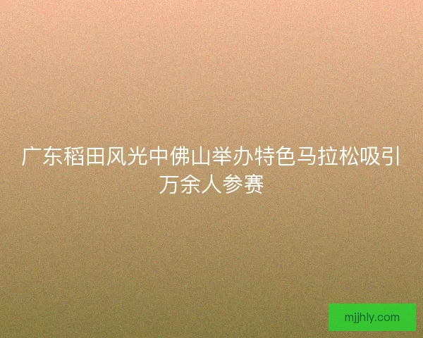 广东稻田风光中佛山举办特色马拉松吸引万余人参赛